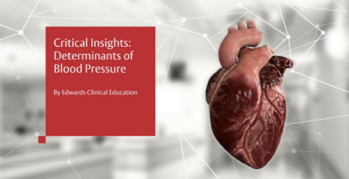 Critical Insights learning series